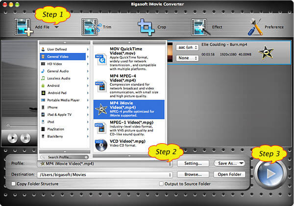 bigasoft imovie converter