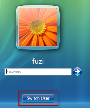 reset password on windows vista without reset disk