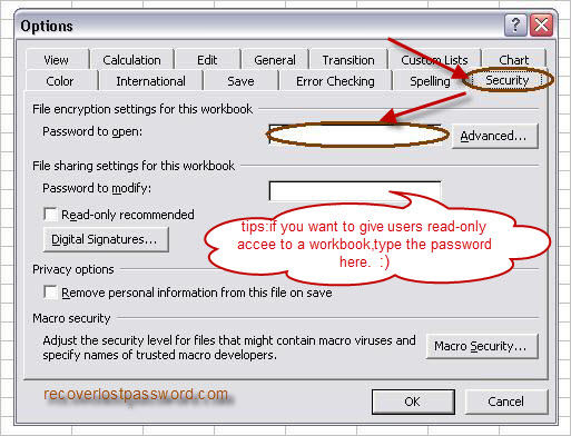 password-protect-excel-2003