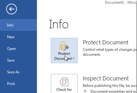 protect Word 2013 documents with password