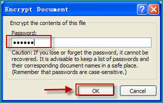 encrypt word document