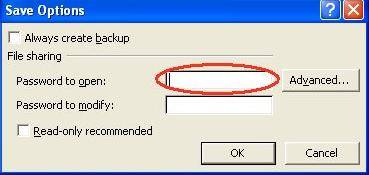 Word password removal in MS Excel 2007