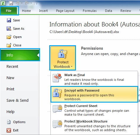 password protect excel 2010