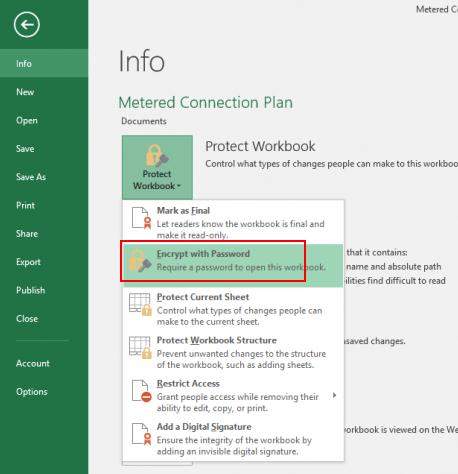 protect excel with password