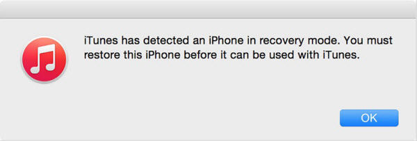 iPhone recovery mode detected