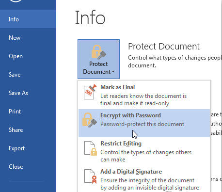 password protect Microsoft Office 2013