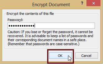 password protect office 2010