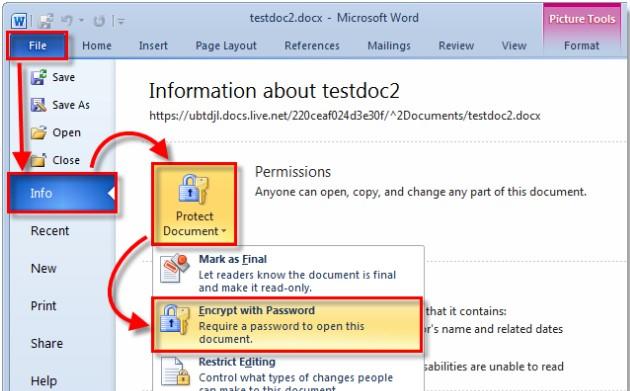 password protect microsoft office 2010