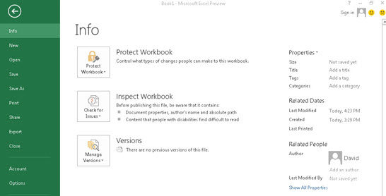 password protect MS Excel 2013 worksheet