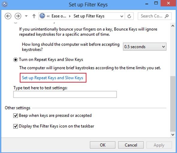 how to turn on filter keys in windows 8