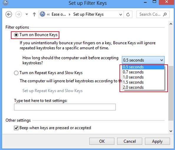 how to set up filter keys in windows 8.1