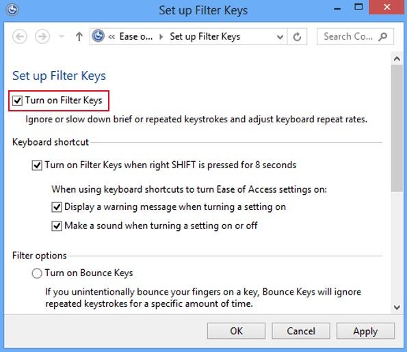 how to turn on filter keys in windows 8