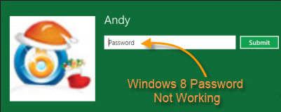 windows 8 login password not recognized