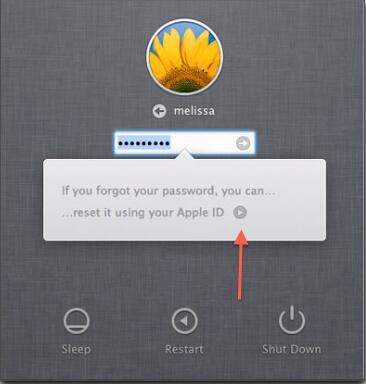 mac login window