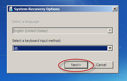 system recovery option