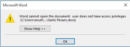 Word cannot open document