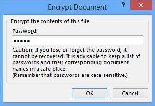 password protect word 2013