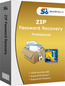 ZIP Password Recovery Professional