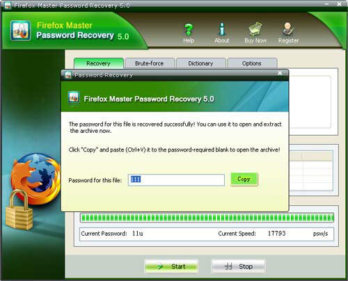 view Firefox Master Password