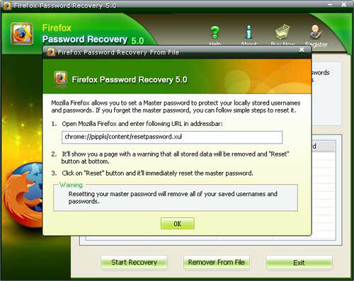 firefox master password reset