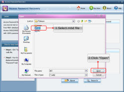 Access Password Recovery