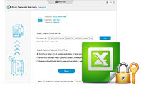 MS Excel Password Recovery