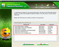 Recover Internet Explorer Password Screenshots