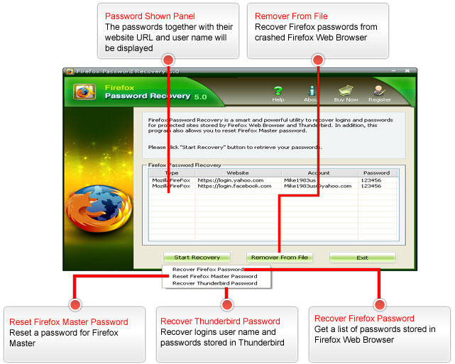 Firefox Password Recovery Screenshots