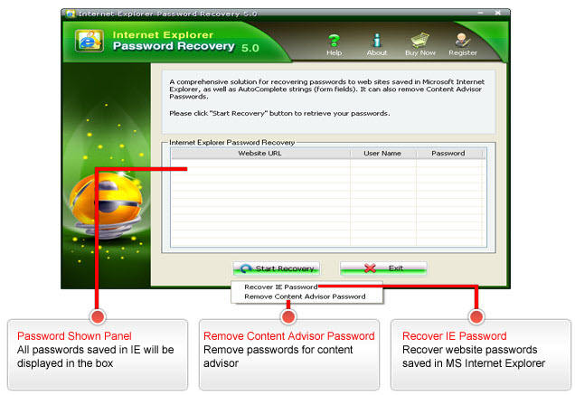 Internet Explorer Password Recovery Screenshots