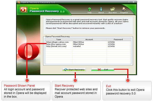 Opera Password Recovery Screenshots